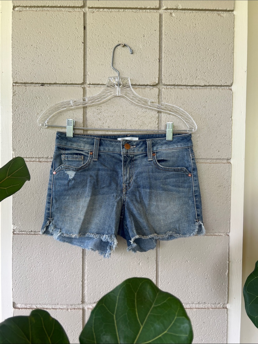 Level 99 Distressed Denim Cutoff Shorts - Blue